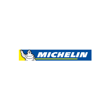 Logo Michelin